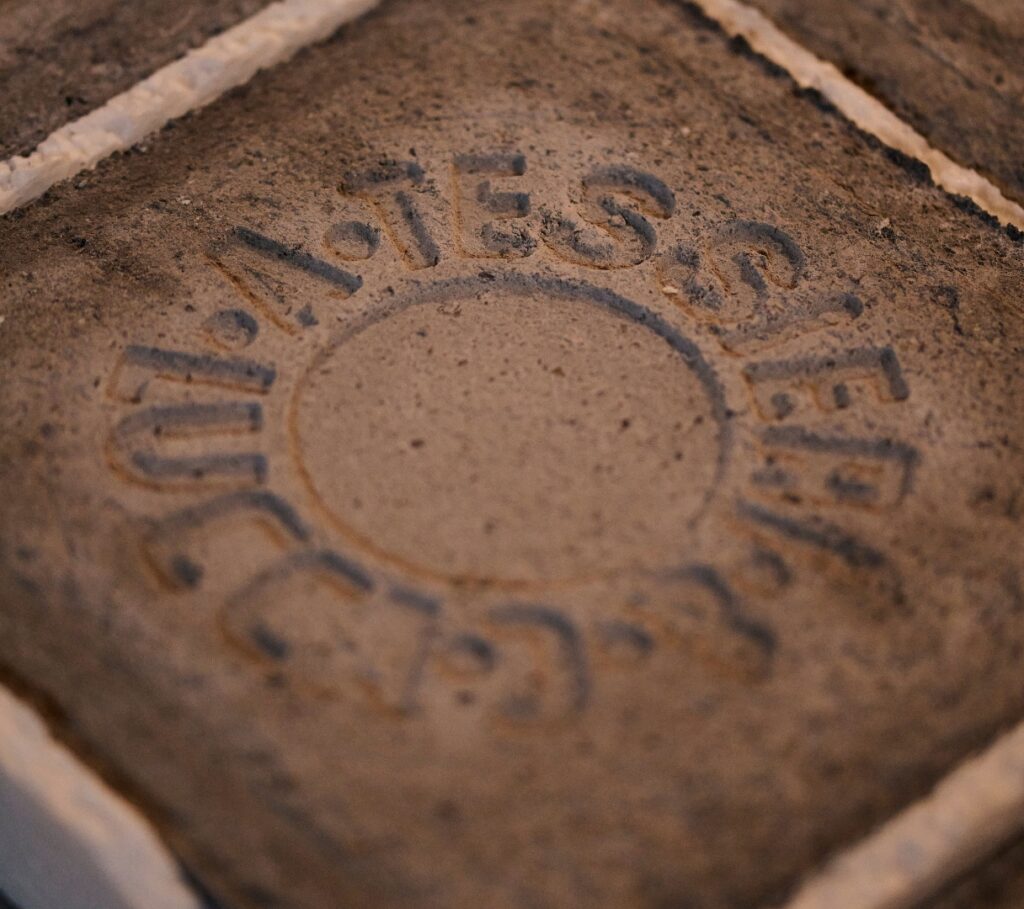 Detail Tessieri insignia