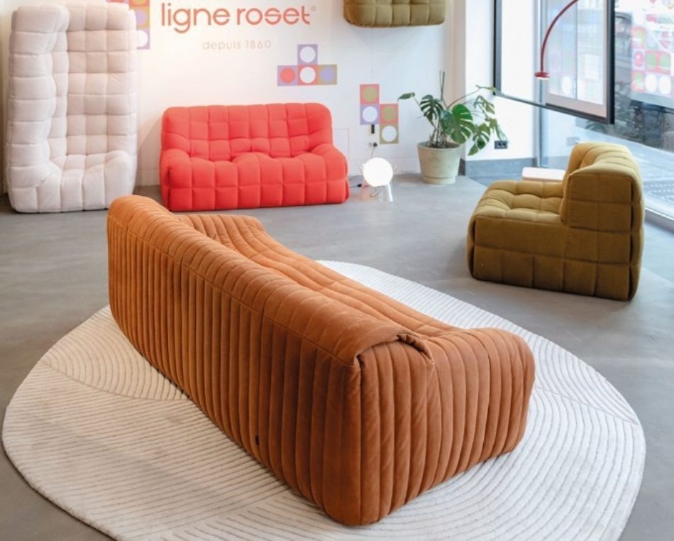 Sandra Sofa by Ligne Roset