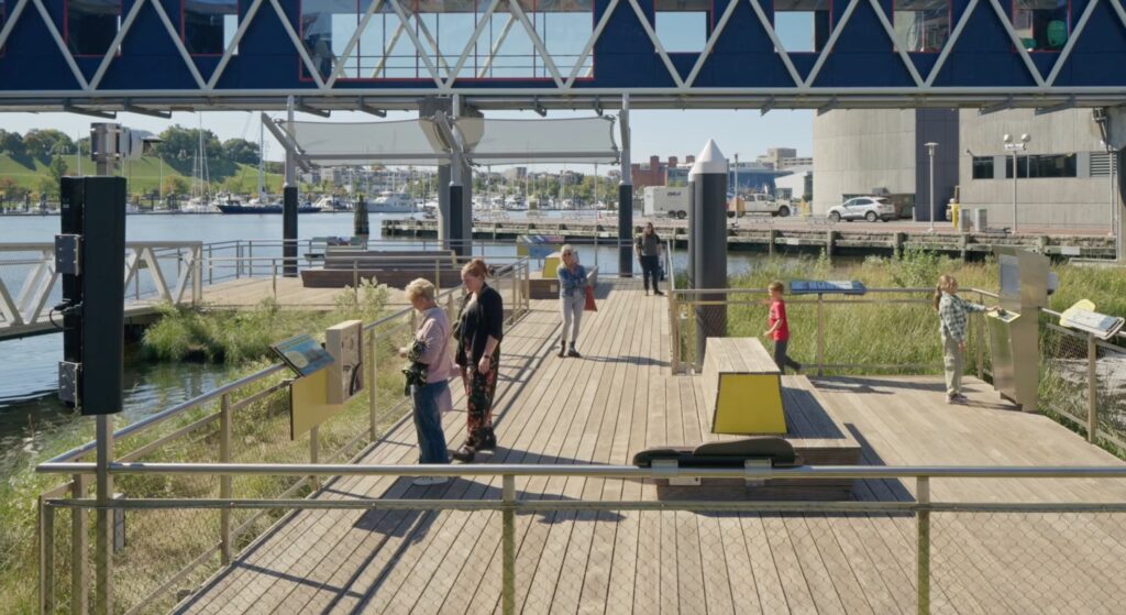 Harbor Wetland viewing dock