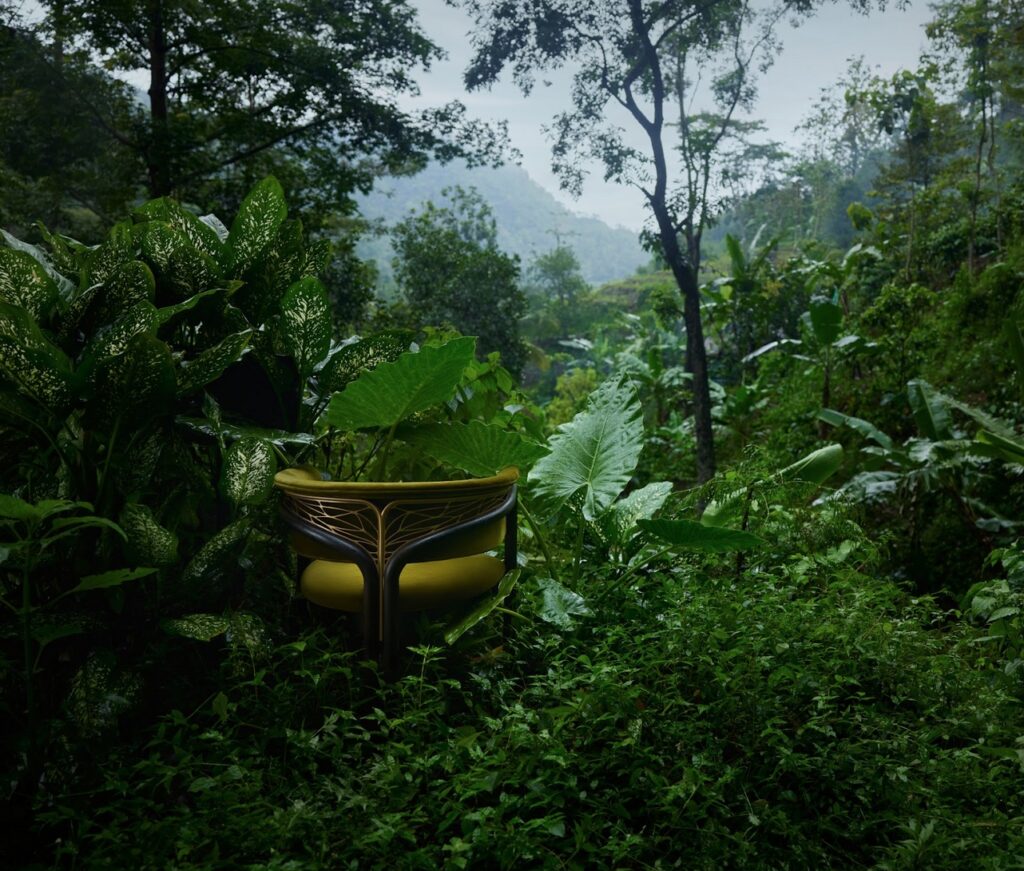 Volita in jungle scene
