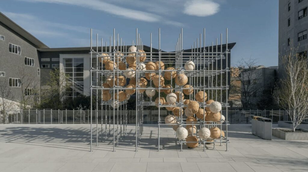 Salone 2025: Growing Matter(s)