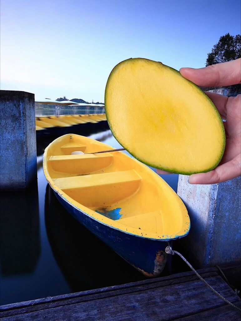 A sliced mango is held beside a yellow-and-blue rowboat, the fruit’s color and shape aligning so precisely that the mango could be mistaken for a cutaway section of the boat. A tropical, slightly absurd play on matching hues and forms.