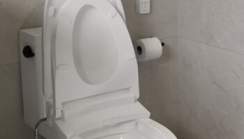 Duravit Retrofits the Wellness Bathroom, One Seat at a Time  